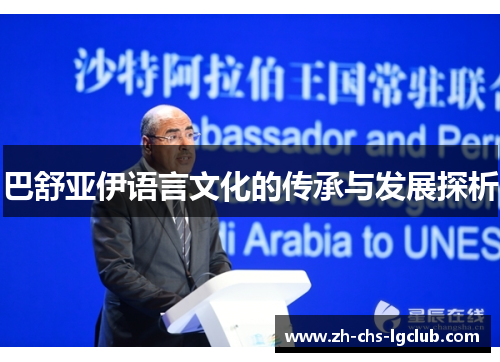 巴舒亚伊语言文化的传承与发展探析 巴舒亚伊语言文化的传承与发展探析