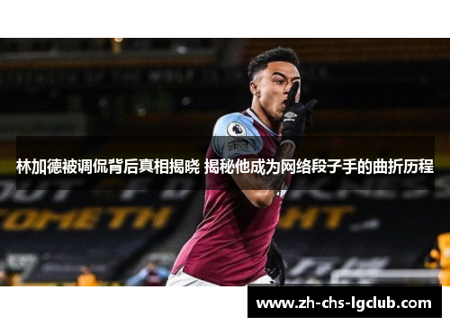 林加德被调侃背后真相揭晓 揭秘他成为网络段子手的曲折历程