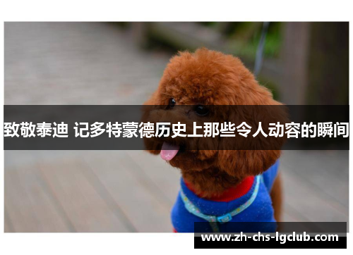 致敬泰迪 记多特蒙德历史上那些令人动容的瞬间