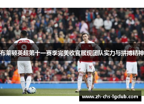 布莱顿英超第十一赛季完美收官展现团队实力与拼搏精神 布莱顿英超第十一赛季完美收官展现团队实力与拼搏精神