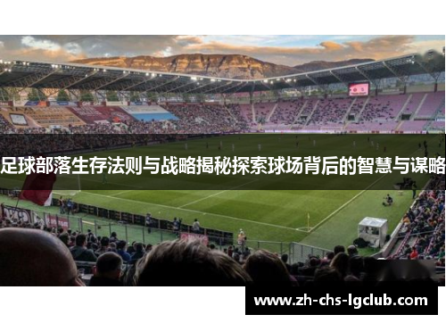 足球部落生存法则与战略揭秘探索球场背后的智慧与谋略